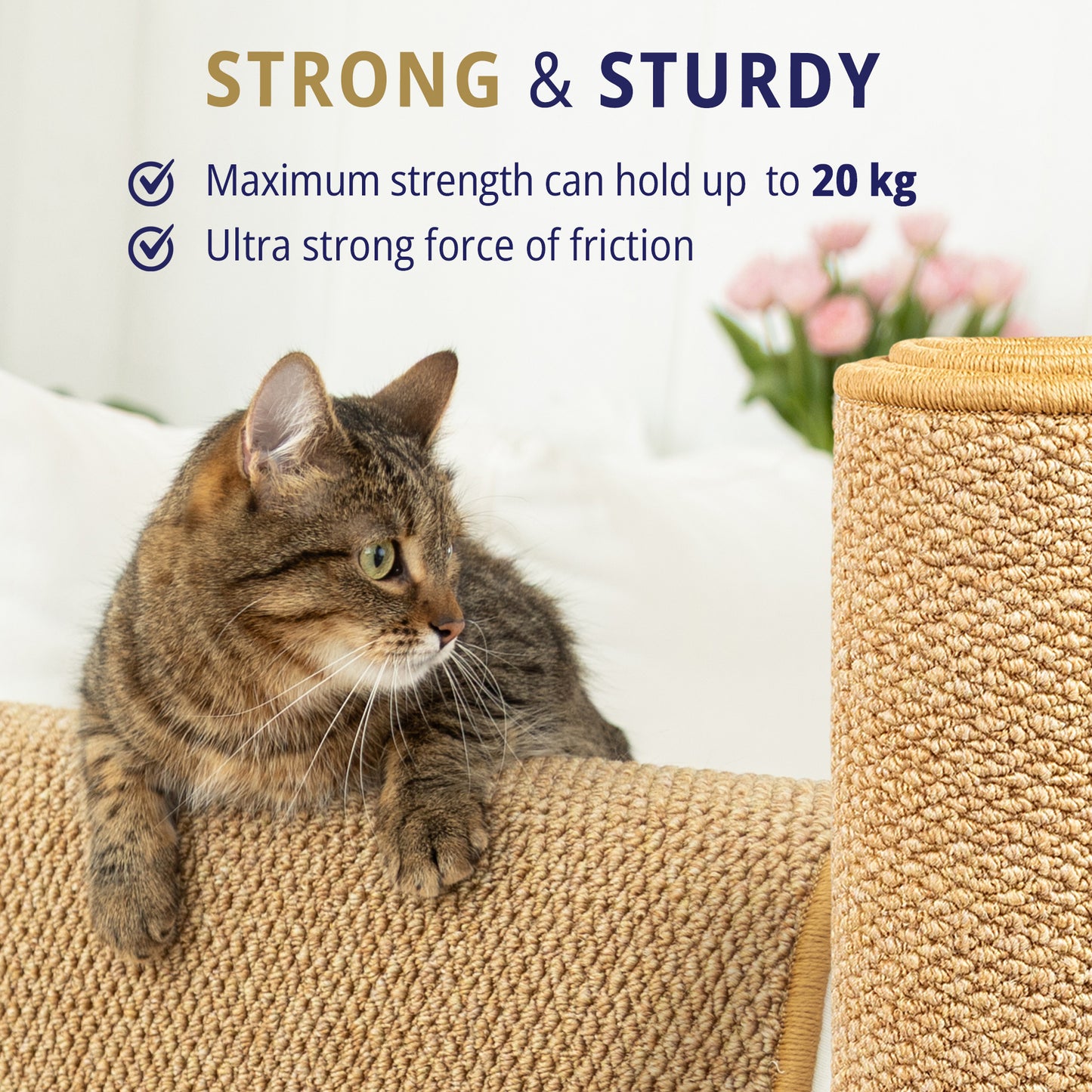 Cat Wall Climbing Carpet - Cat Wall Climber 50" x 17" with Fixed Nails