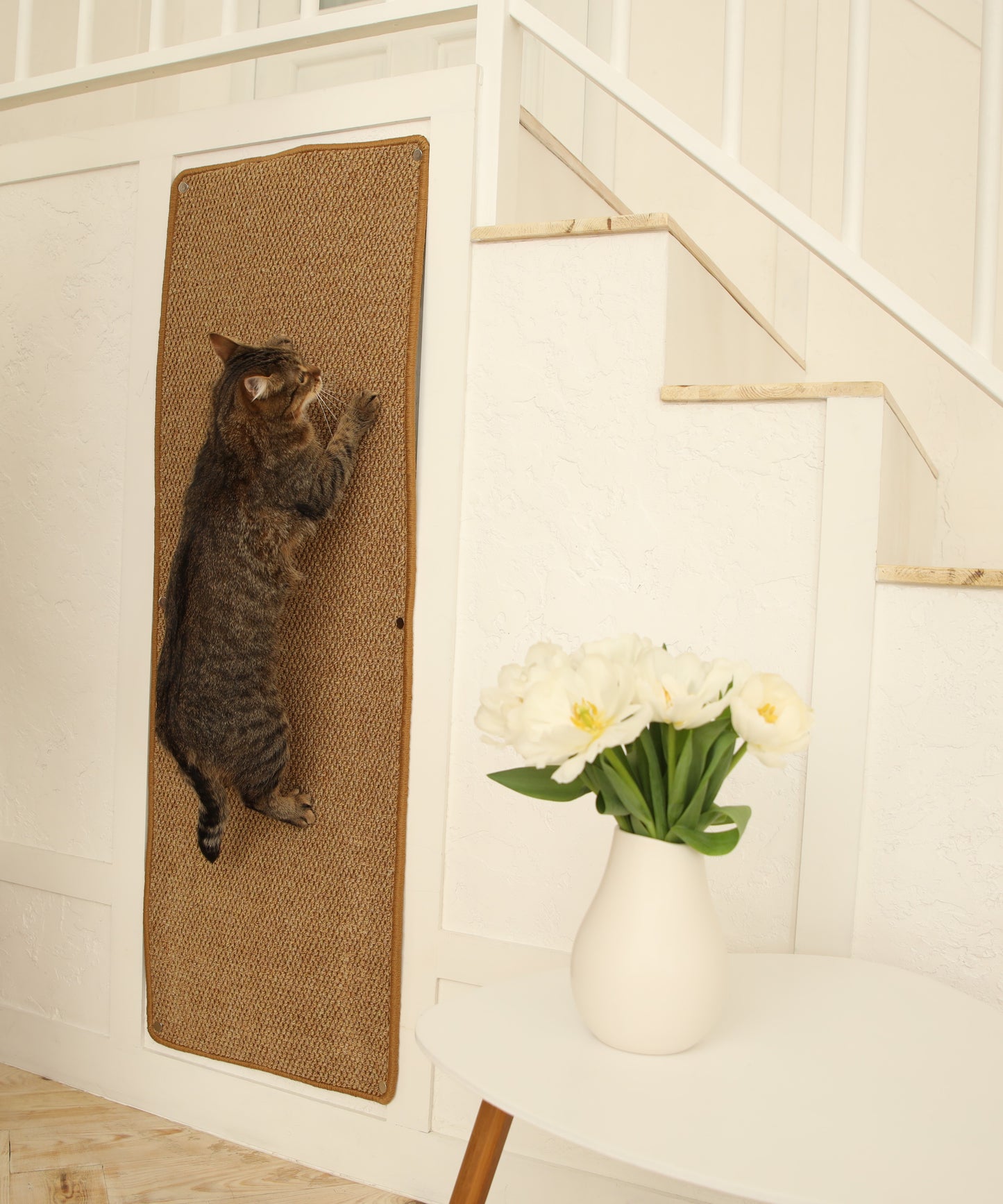 Cat Wall Climbing Carpet - Cat Wall Climber 50" x 17" with Fixed Nails