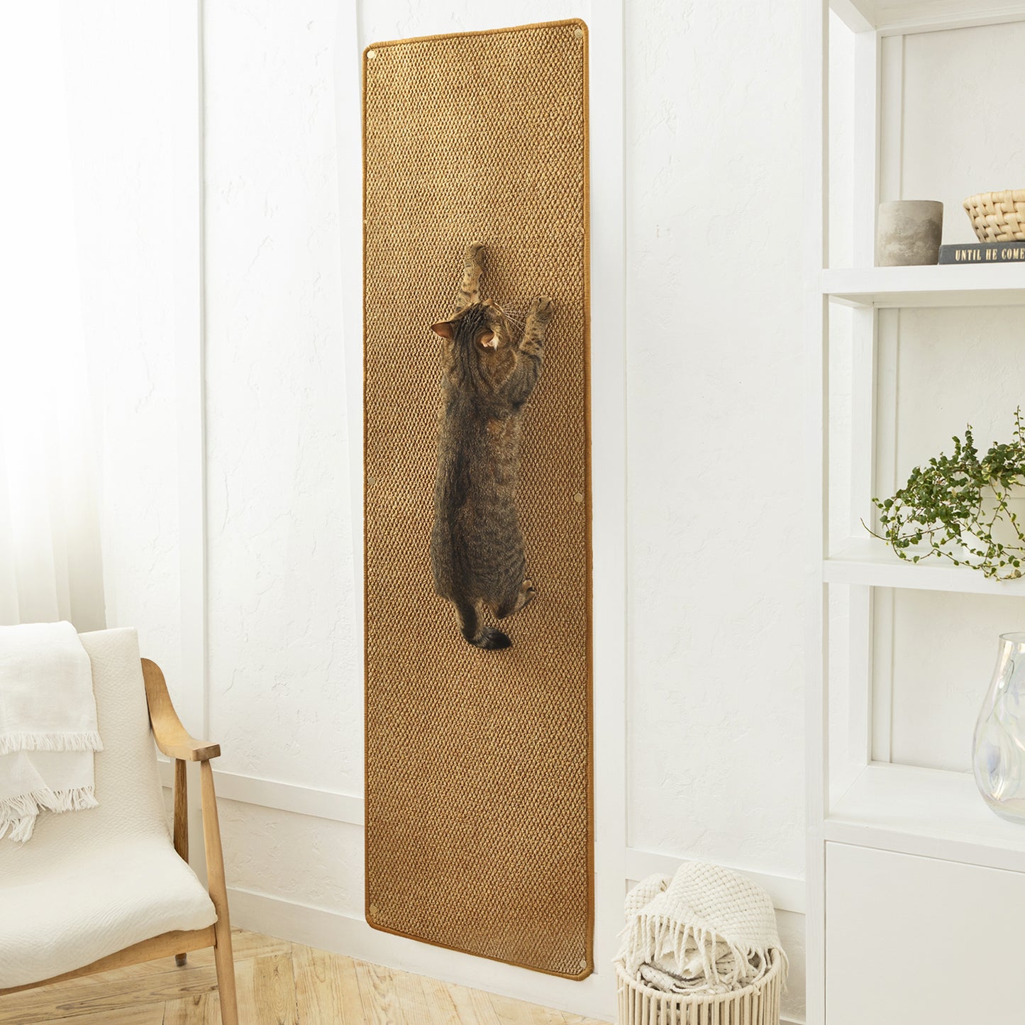 Cat Wall Climbing Carpet - Cat Wall Climber 67" x 17.5" with Fixed Nails