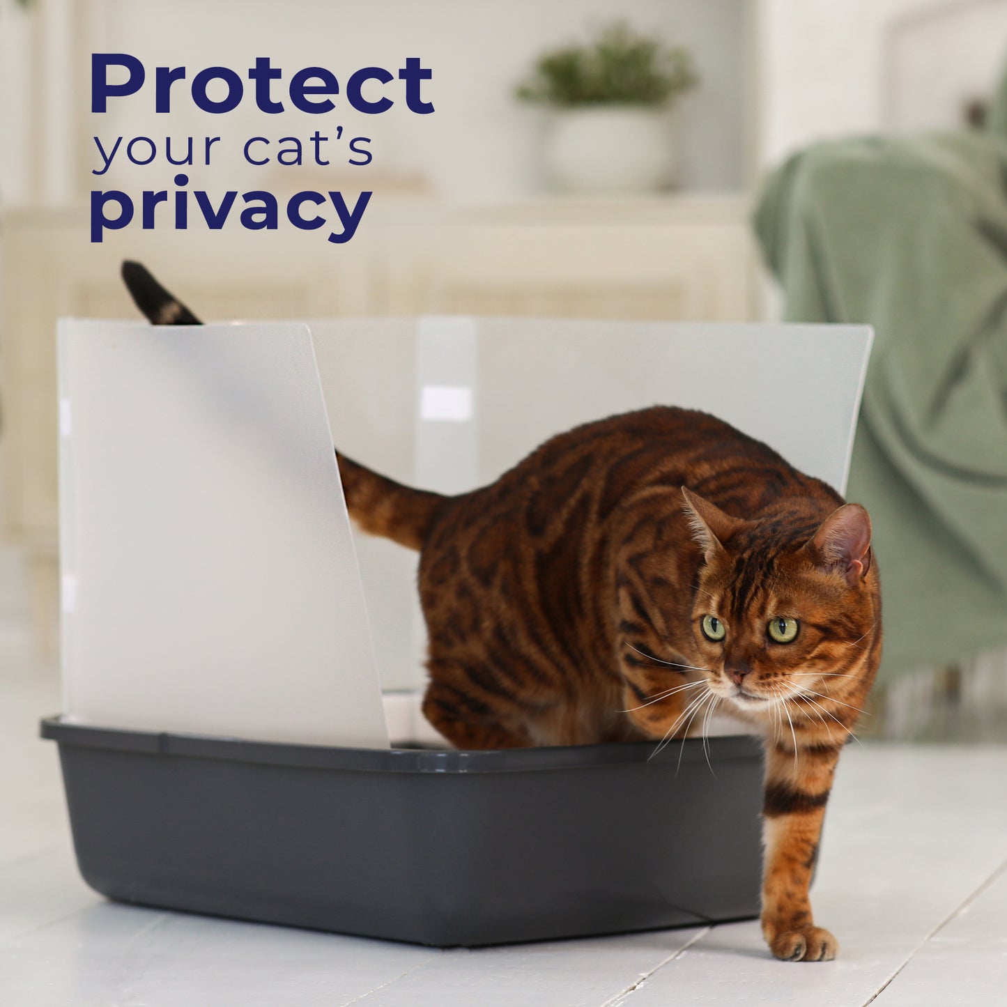 Cat Litter Box Pee Shields (4 Pcs)