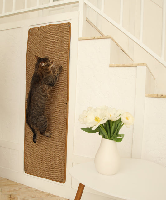 Cat Wall Climbing Carpet - Cat Wall Climber 50" x 17" with Fixed Nails
